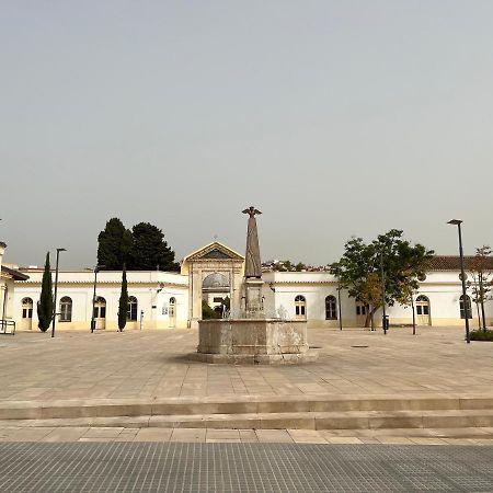 Brand New Studio With Terrace And Bbq Close To City Center Málaga Dış mekan fotoğraf